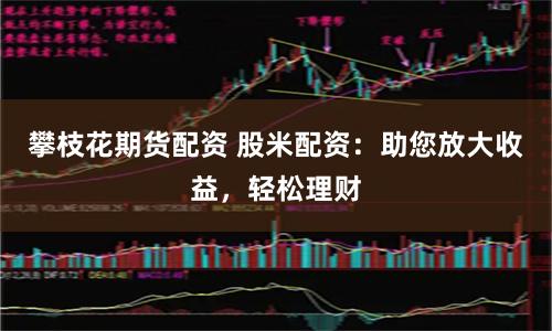 攀枝花期货配资 股米配资：助您放大收益，轻松理财