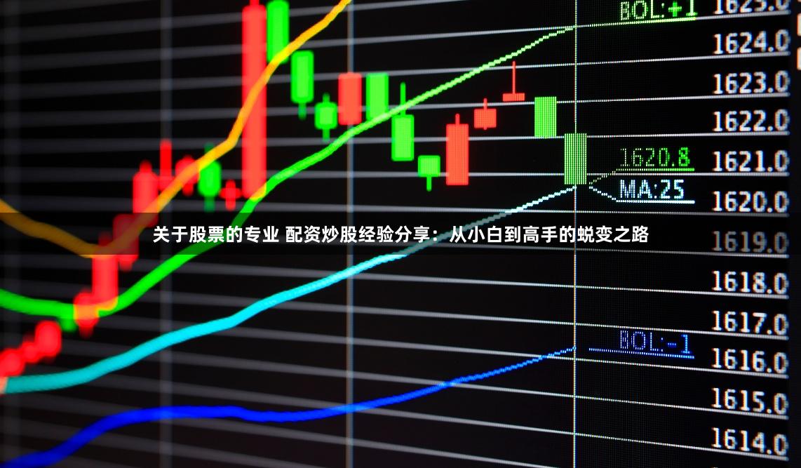 关于股票的专业 配资炒股经验分享：从小白到高手的蜕变之路