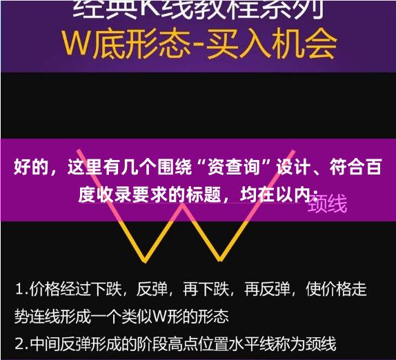 好的，这里有几个围绕“资查询”设计、符合百度收录要求的标题，均在以内：