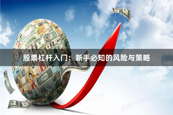 股票杠杆入门:新手必知的风险与策略