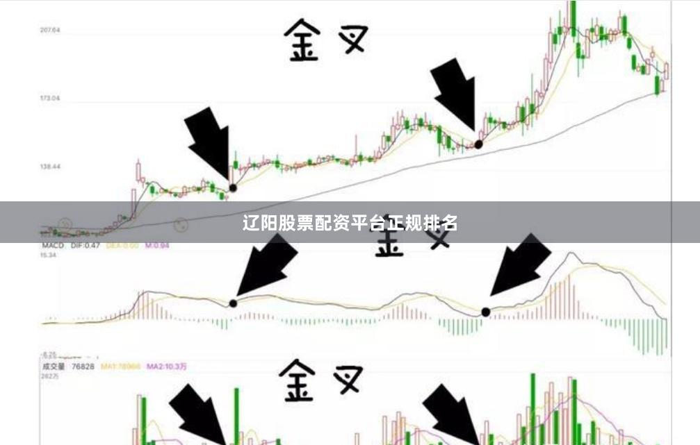 辽阳股票配资平台正规排名